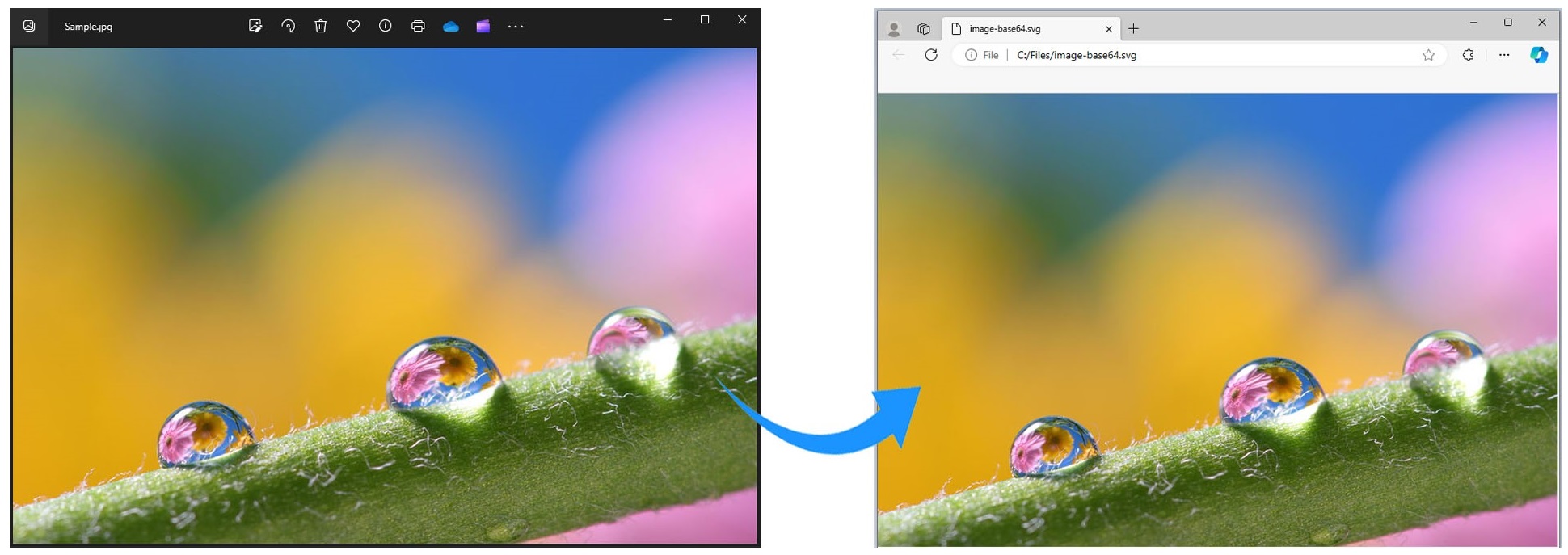 تحويل صورة JPG أو PNG إلى Base64 في C#