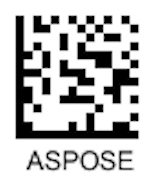 Data Matrix barcode online
