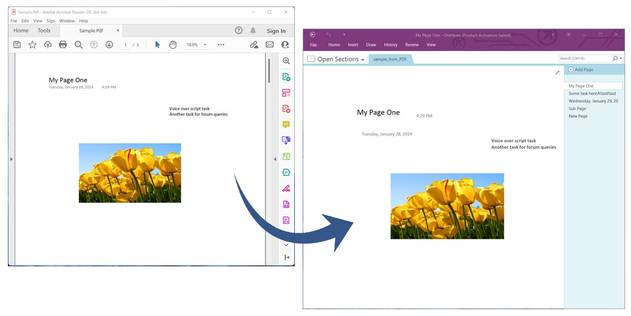 Convert PDF to OneNote using C#