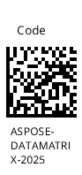 Datenmatrix eingebetteter Text