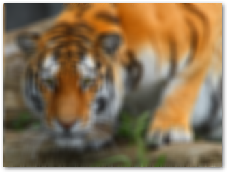 Unscharfes Bild in C# ausgeben