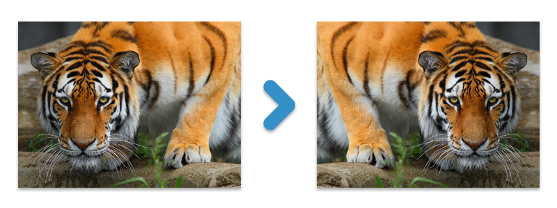 Spiegeln Sie ein Bild in C#