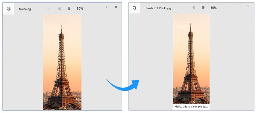 Add caption to photos in C#