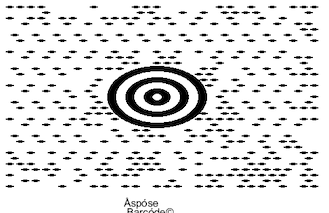 Hasilkan Rasio Aspek Maxicode di C #