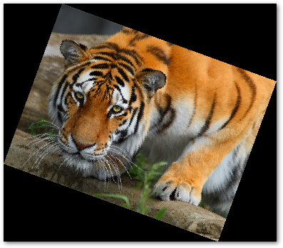 memutar gambar pada sudut tertentu di java