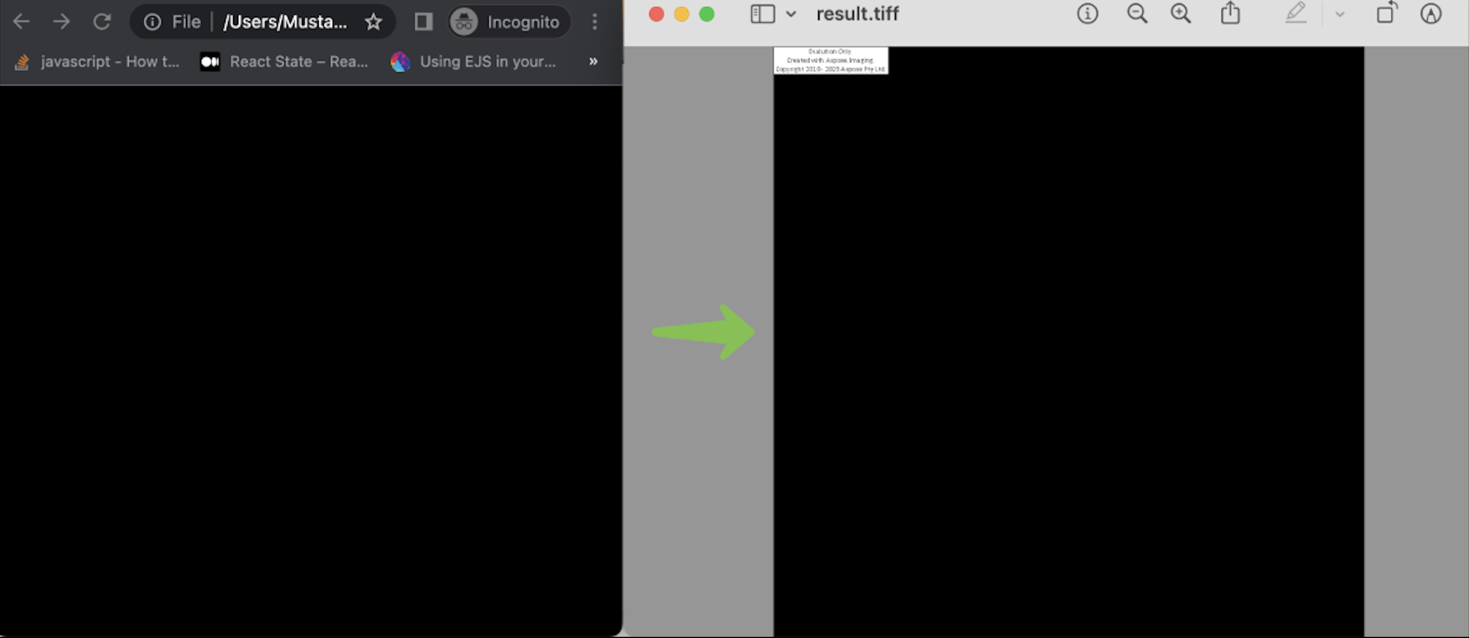 vector to raster converter