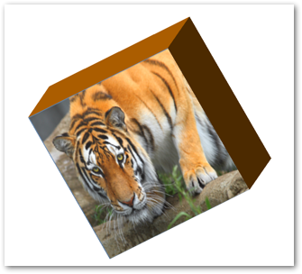 Applicare effetti 3D a un'immagine in PowerPoint in Python
