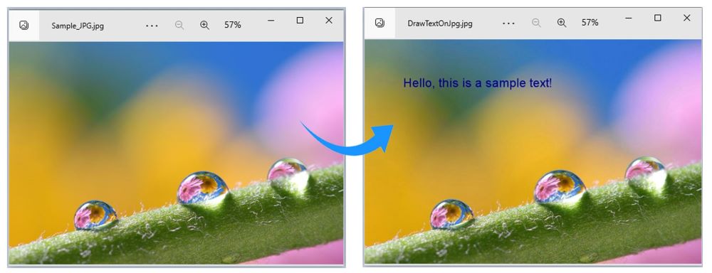 C# で JPG 画像にテキストを追加する