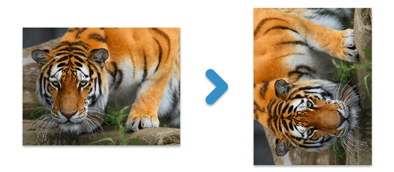 Javaで画像を回転させる