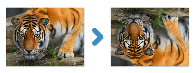 Java で画像を回転および反転する