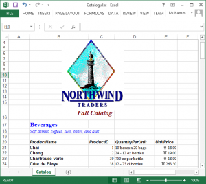 Product Catalog report using Aspose.Cells for .NET