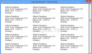 Customer Labels report using Aspose.Pdf for .NET