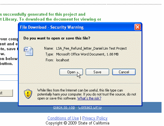File save dialog preview