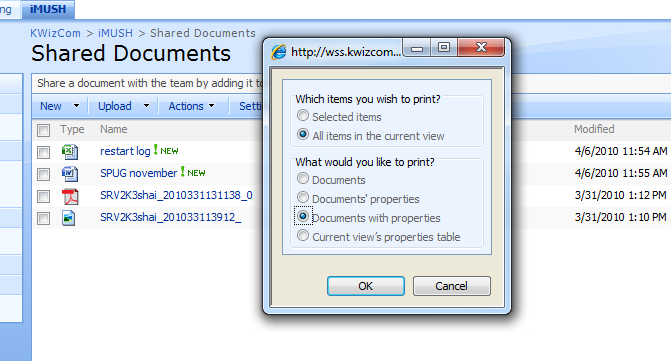 Document library print settings popup
