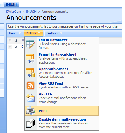List toolbar print menu