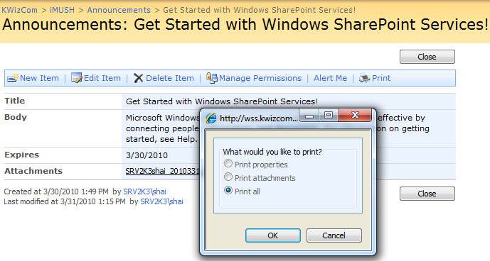 List item toolbar print menu popup