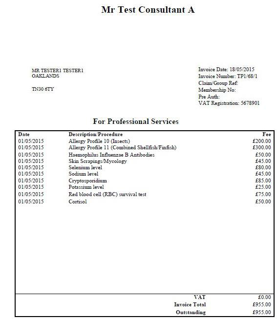 Sample unbranded PDF output Invoice