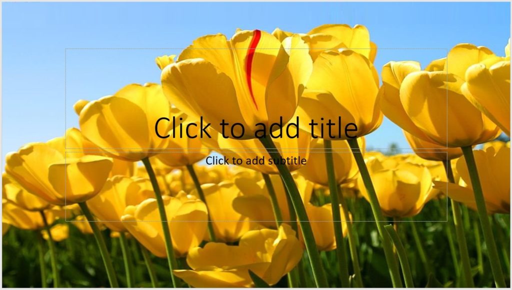 Зображення результату, створеного зразком коду