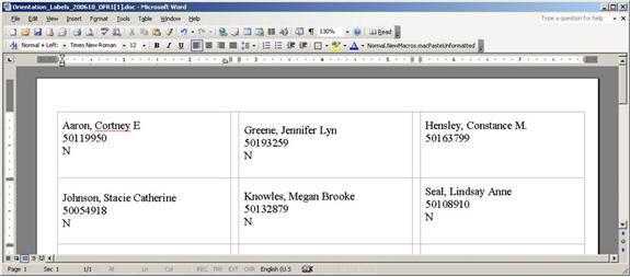 Preview of document with details